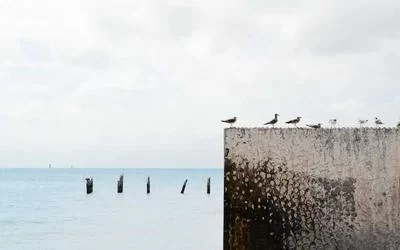 灵活时间安排
