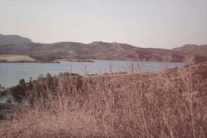 市场调研
