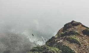 专业培训服务
