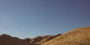 选择合适时机
