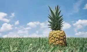 虚拟物品交易