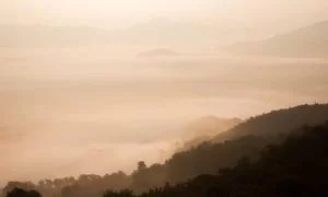 美业副业趋势