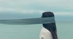 法律写作副业