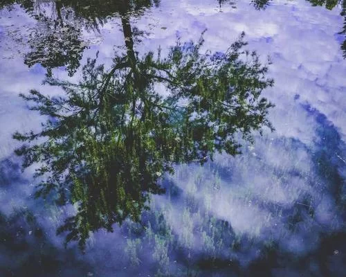 副业教学场景