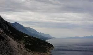 抖音平台