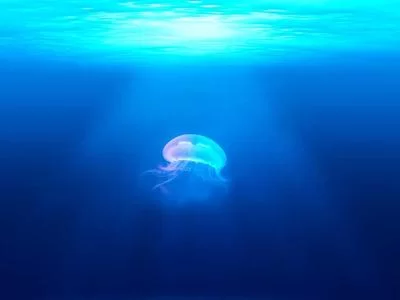 低投入高回报