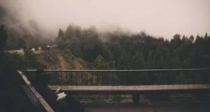 妈妈教师成功案例