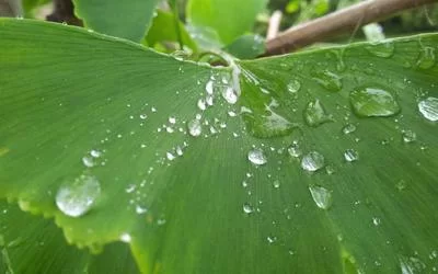 副业收益分析