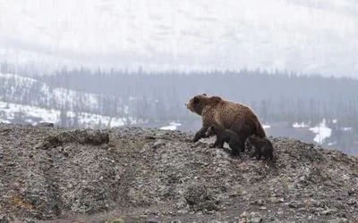 副业成长路径