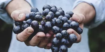 菜鸟驿站概念
