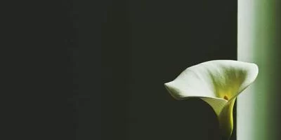 退休教师案例