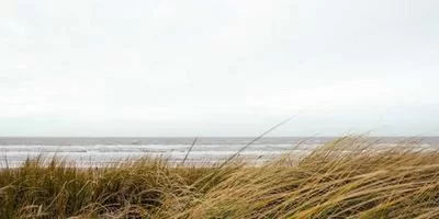 社交媒体管理