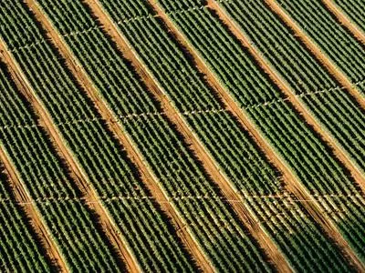 自动化工具应用
