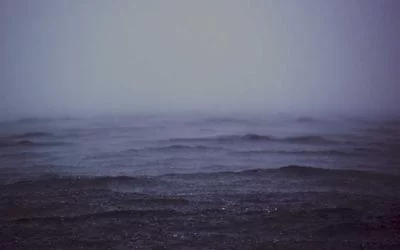 个性化指导