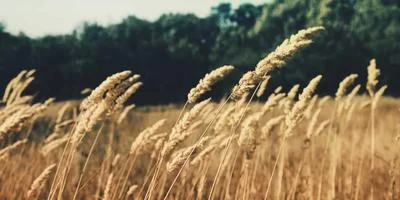 个性化推荐