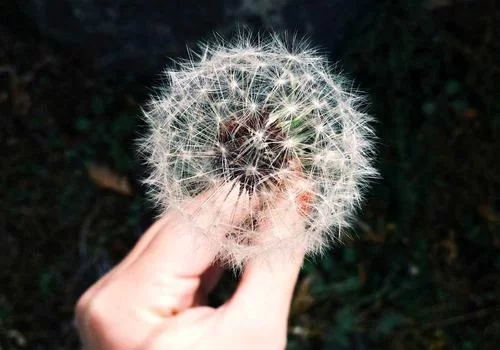 股票投资副业