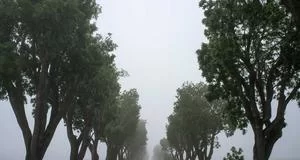 副业选择指南