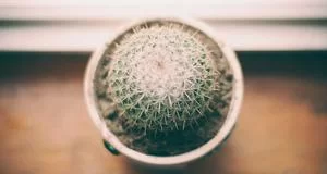 创意副业