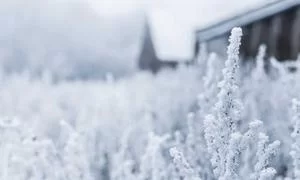 实时收益追踪