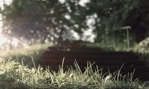 严格项目筛选