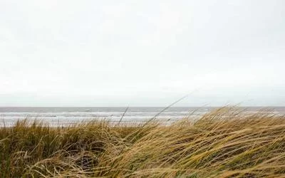 护士人脉建设