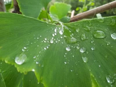 岗位种类丰富