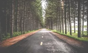 电商创业成功经历