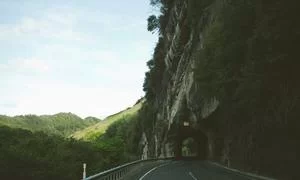 政策咨询案例