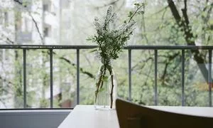 内容创业者案例