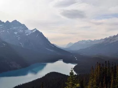 双人瑜伽