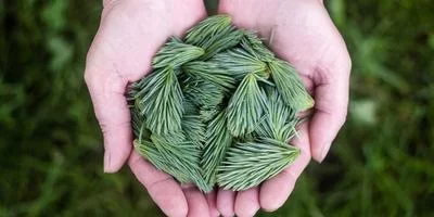 市场需求分析
