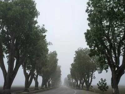 篮球副业变现方法