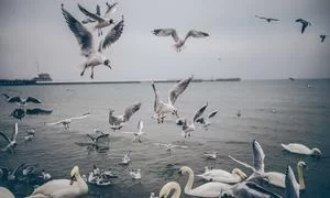 营销副业