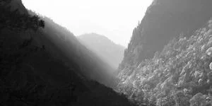 上海旅游服务