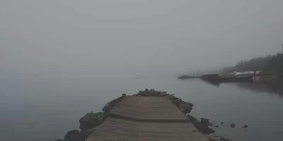 自由会计工作