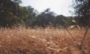 易操作副业