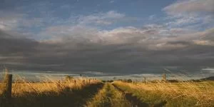 退休教师英语配音