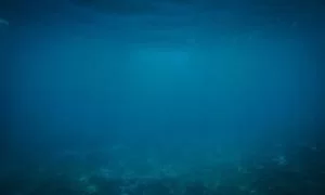民族文化传播