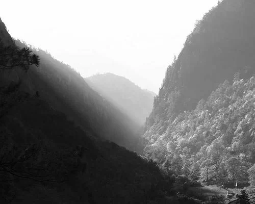 英语副业工作场景