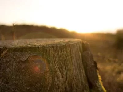 技能变现