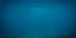 网络诈骗案例