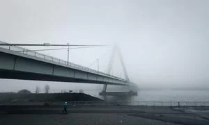 语言技能