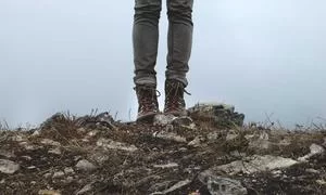 拼多多电商平台