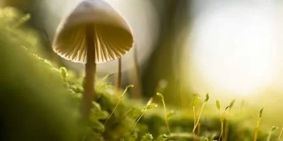 合理分成系统