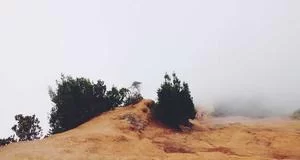 利益冲突规避