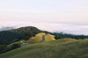 李老师成功案例