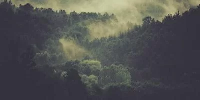 法律合同模板