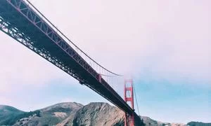 中药材采购商