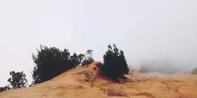 风险意识
