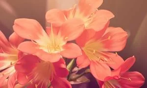 兴趣分析
